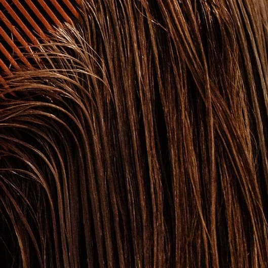 A year’s worth of blowouts at Valerie Did My Hair in orlando, FL